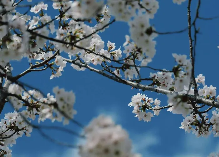 Konayuki Inn Machiya 粉雪の宿 5Min Walk From Kyoto St