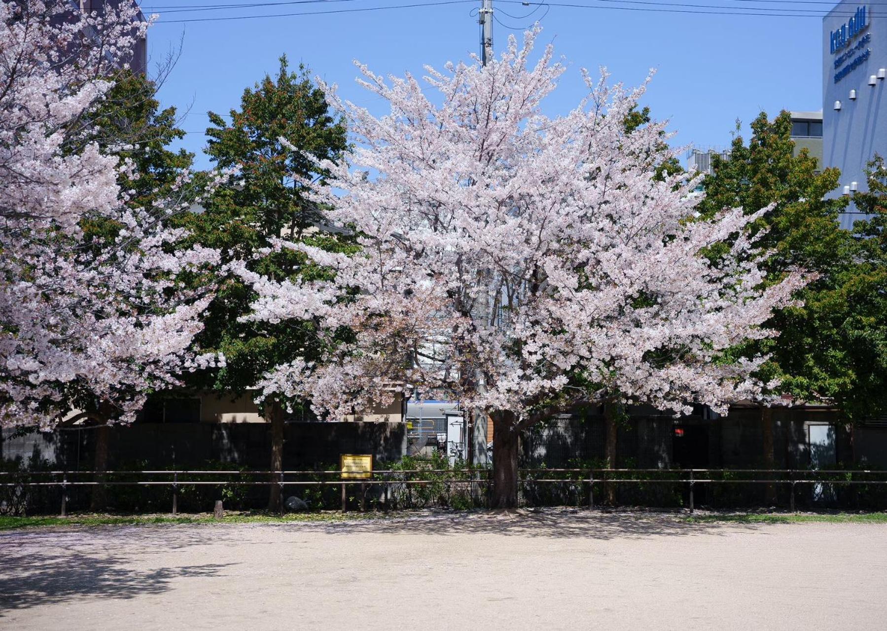 別墅 Konayuki Machiya 粉雪の宿 5min Walk From St