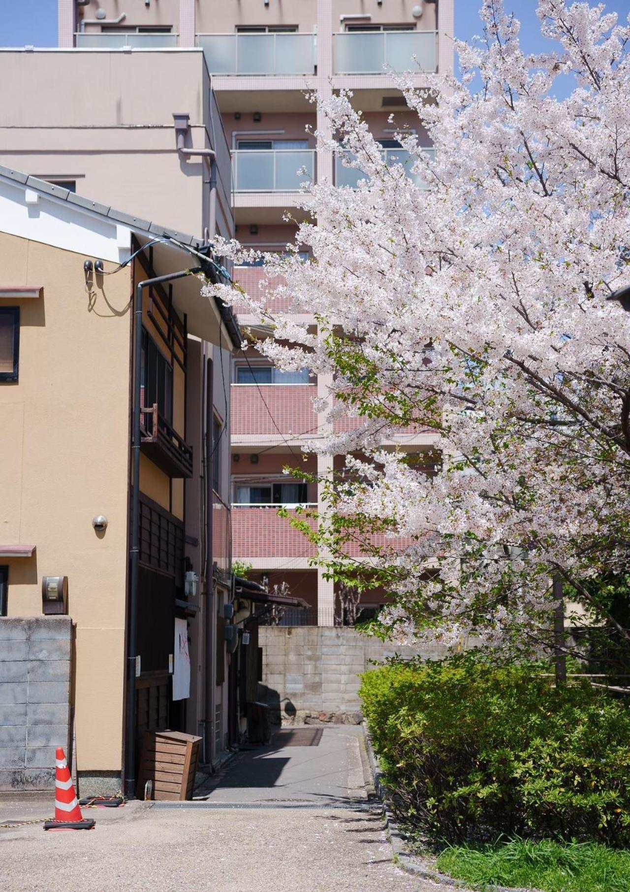 Konayuki Machiya 粉雪の宿 5min Walk From St 別墅 *