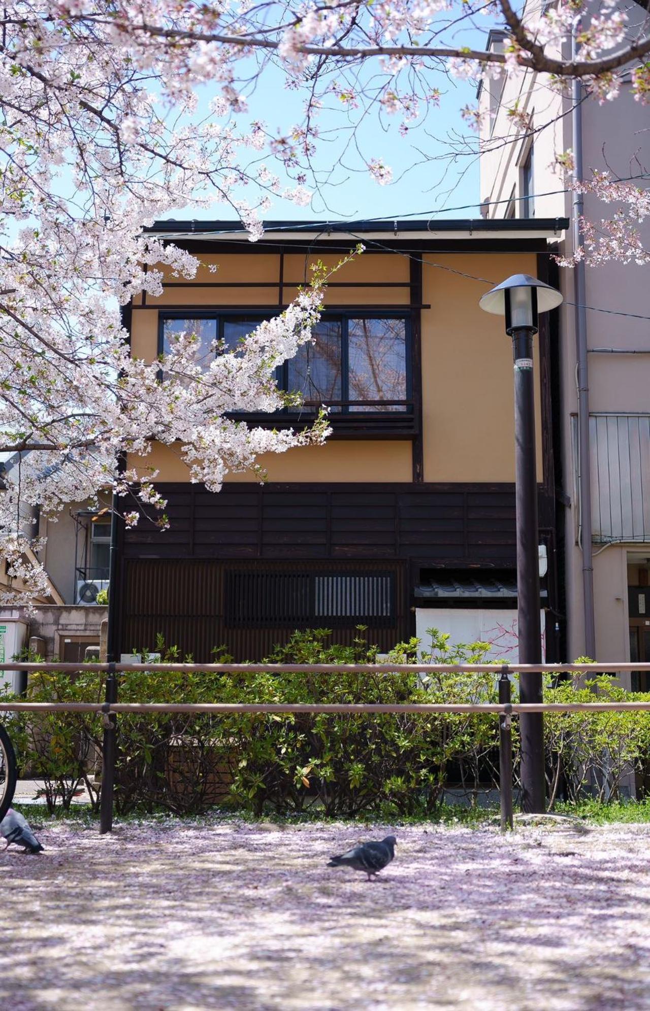 別墅 Konayuki Machiya 粉雪の宿 5min Walk From St *