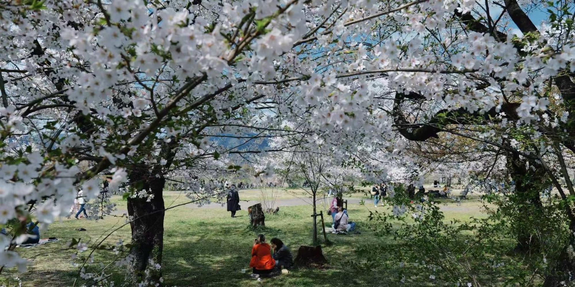 Konayuki Machiya 粉雪の宿 5min Walk From St 別墅 京都